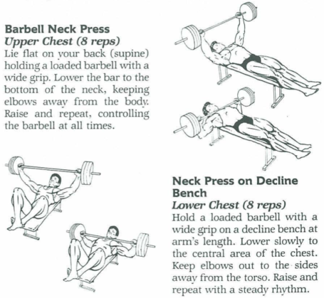 Barbell Neck Press Diagrams Vince Gironda